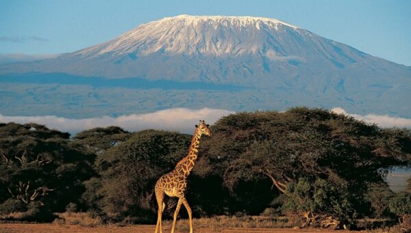 Tanzania set to introduce cable car on Kilimanjaro