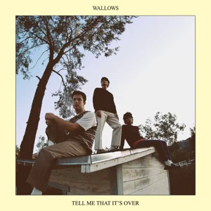 Wallows Tell Me That Its Over