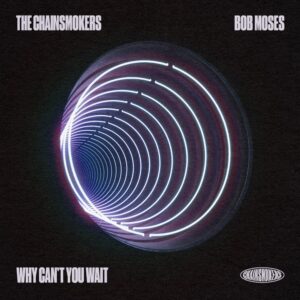 The Chainsmokers Why Cant You Wait Lyrics