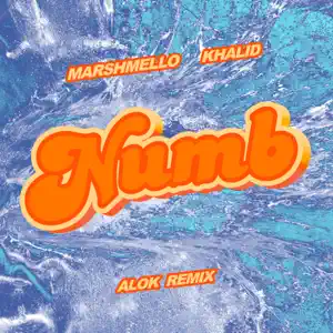 Marshmello Numb Alok Remix Lyrics