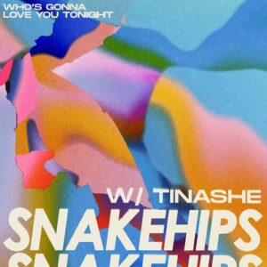 Snakehips Whos Gonna Love You Tonight Lyrics